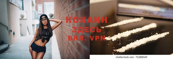 эйфоретик Арсеньев