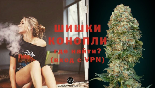 прущие грибы Аркадак