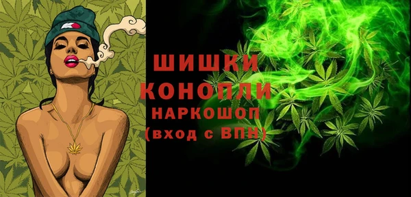 эйфоретик Арсеньев
