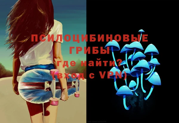прущие грибы Аркадак