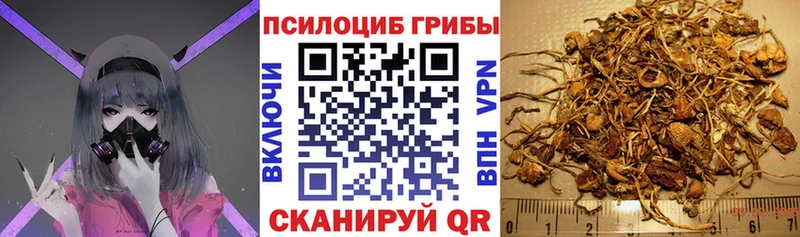 Псилоцибиновые грибы MAGIC MUSHROOMS  как найти   Советский 